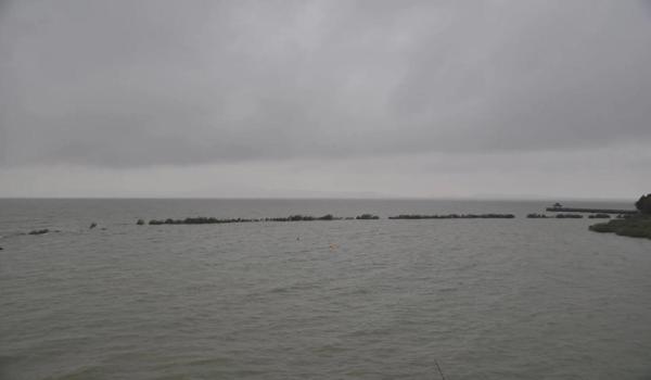 三角洲寻血猎犬科技器最新版下载(给我一个三角洲寻血猎犬科技器的下载链接) 三角洲寻血猎犬科技器最新版下载(给我一个三角洲寻血猎犬科技器的下载链接)