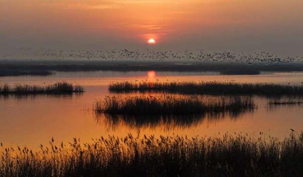 三角洲行动科技科技下载(提供三角洲行动科技科技下载链接) 三角洲行动科技科技下载(提供三角洲行动科技科技下载链接)